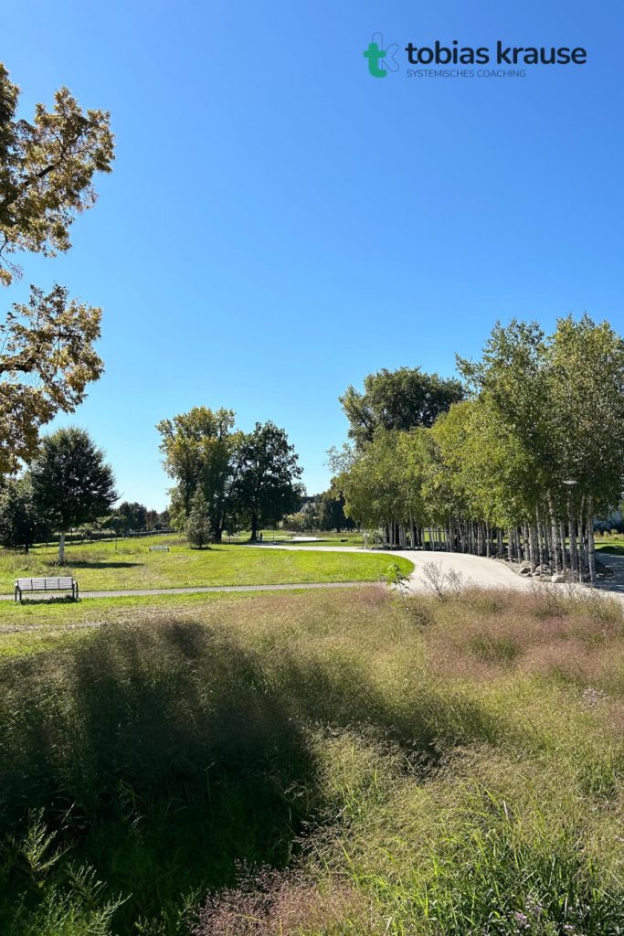 Blick auf eine Wiese im Sheridanpark als Ort für ein Naturcoaching in Augsburg