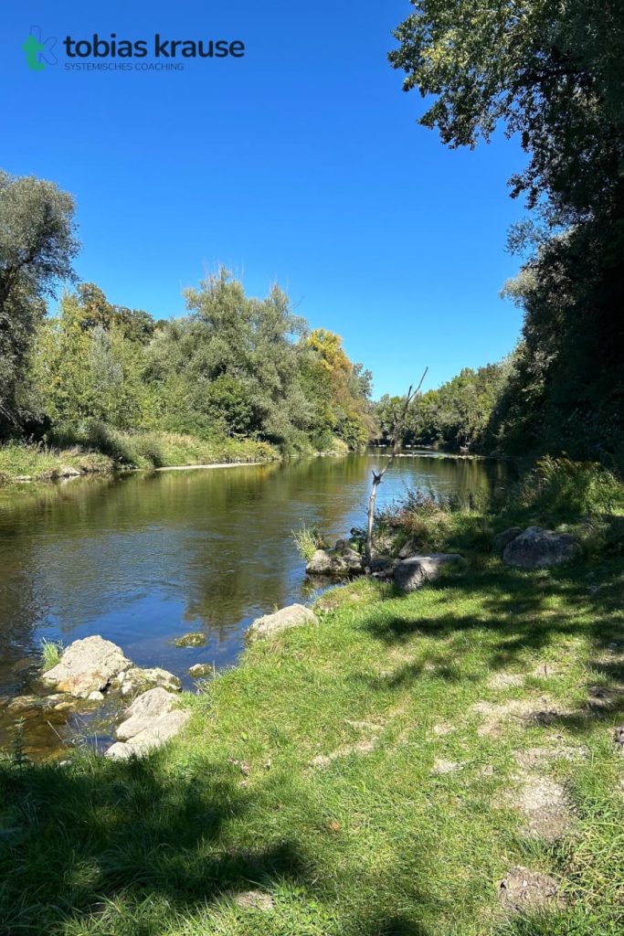 Wiese am Ufer der Wertach als TOP-Ort für ein Naturcoaching in Augsburg