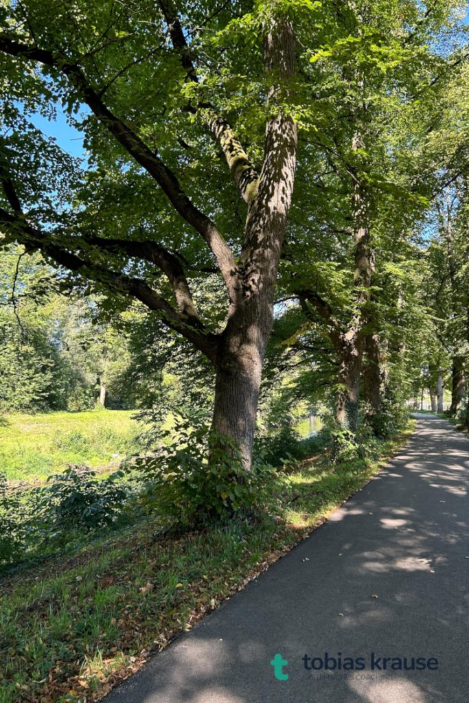 Spaziergang am Wertachkanal als TOP-Ort für ein Naturcoaching in Augsburg